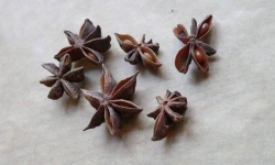 Anis - (Pimpinella anisum)